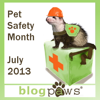 Pet Safety